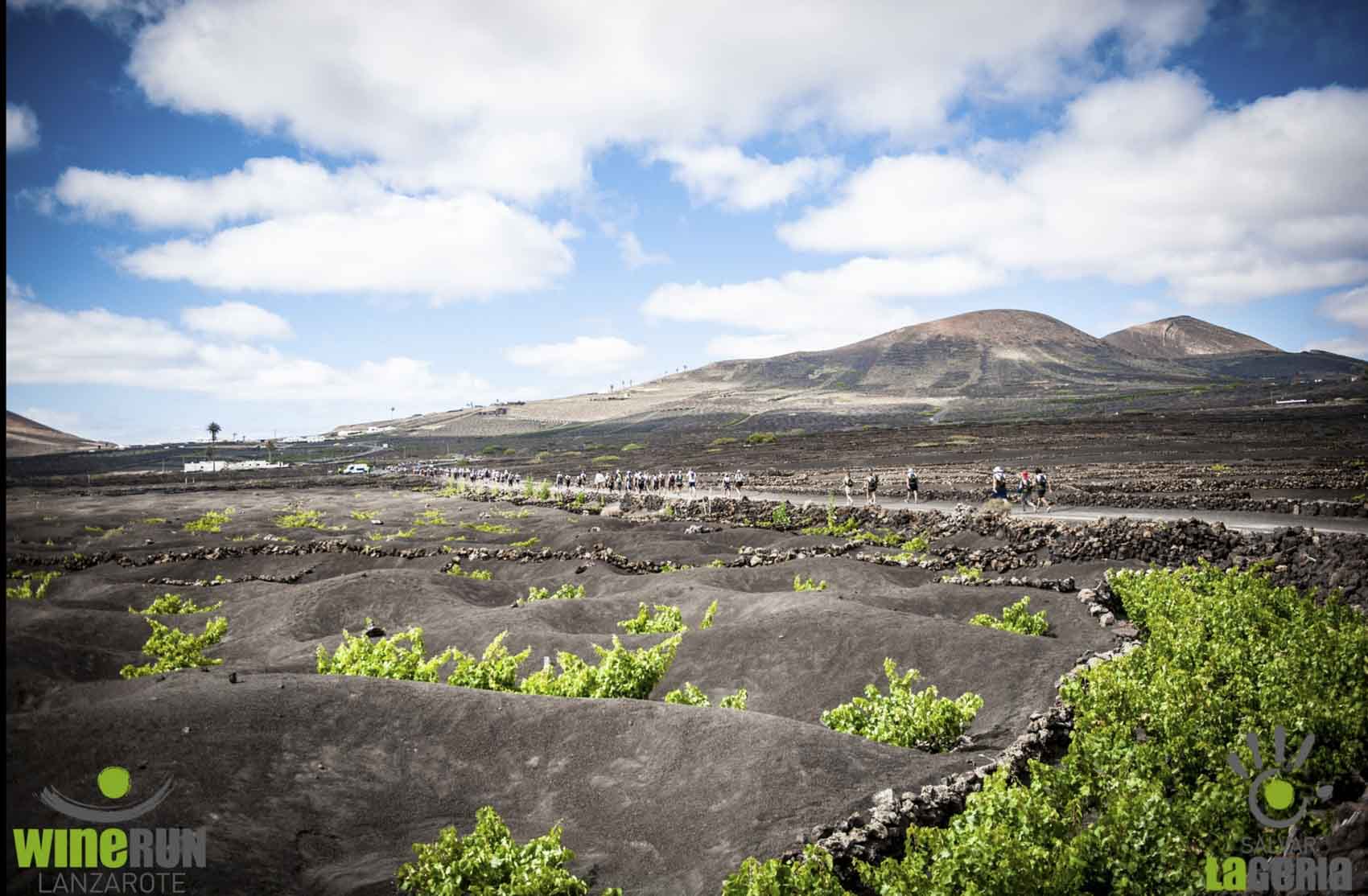 Imagen 3 de la galería de Wine Run Lanzarote en Lanzarote